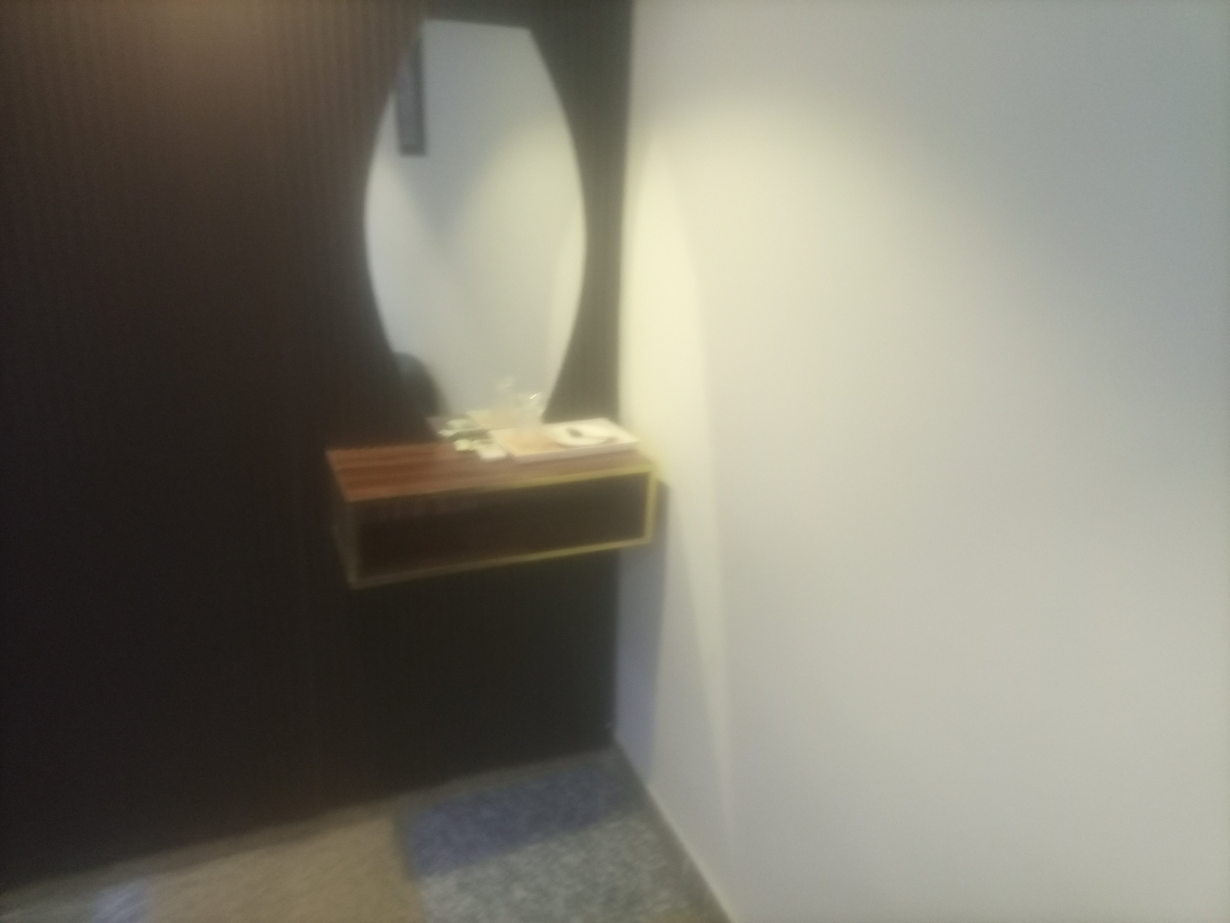 IMG_20251029_164910_100 (1)