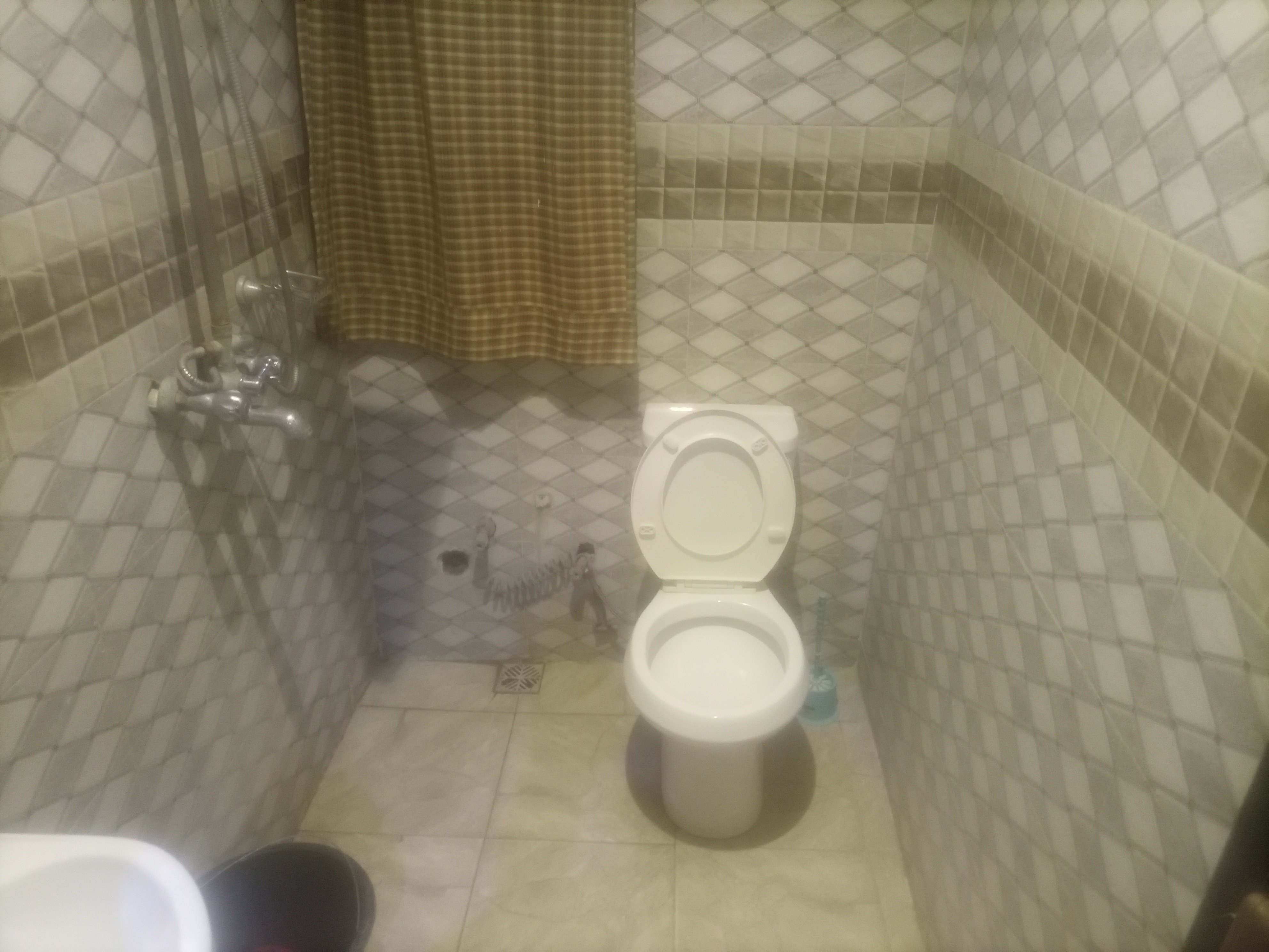 IMG_20251029_164937_005-1