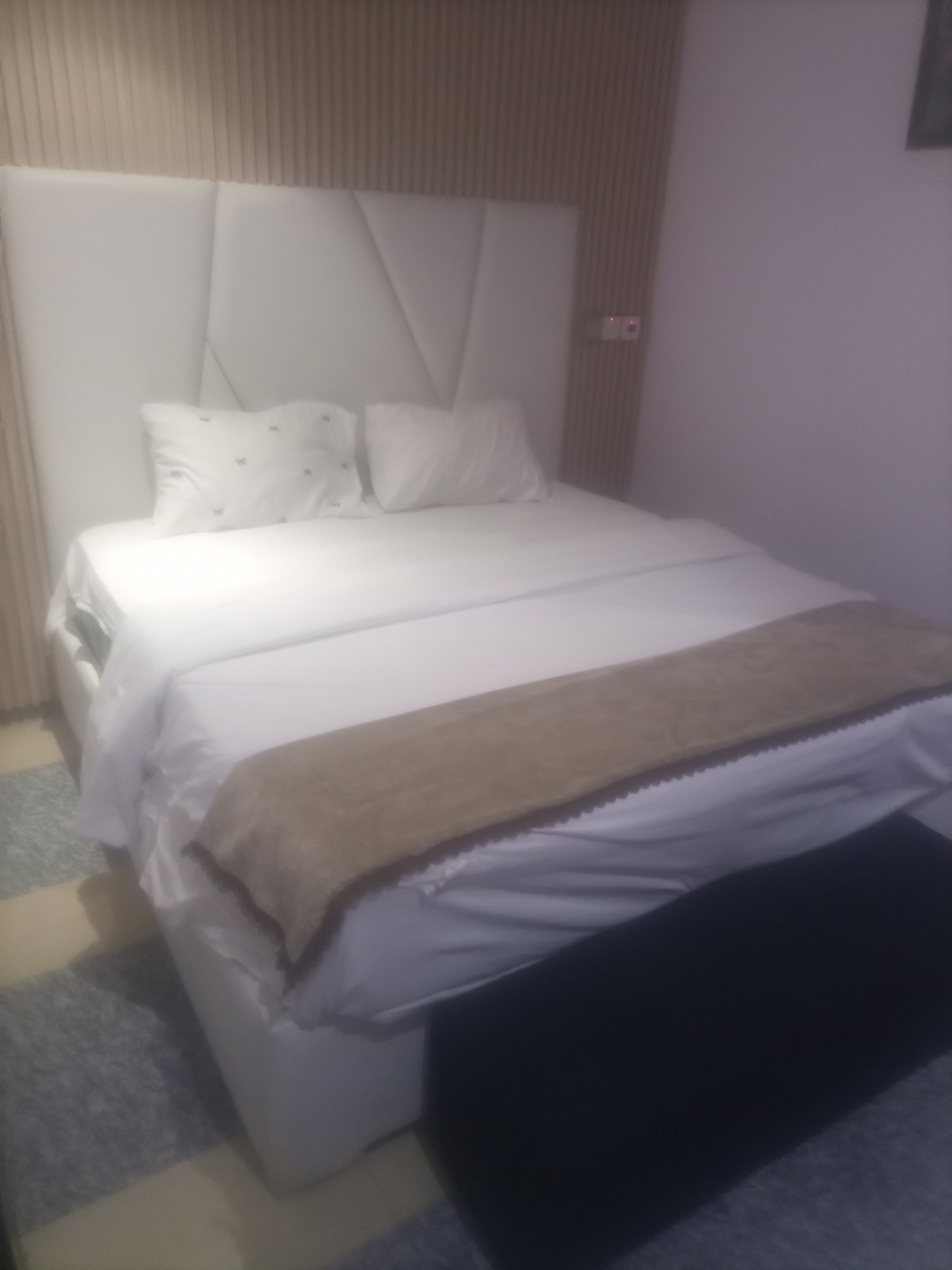 IMG_20251029_165050_528-1