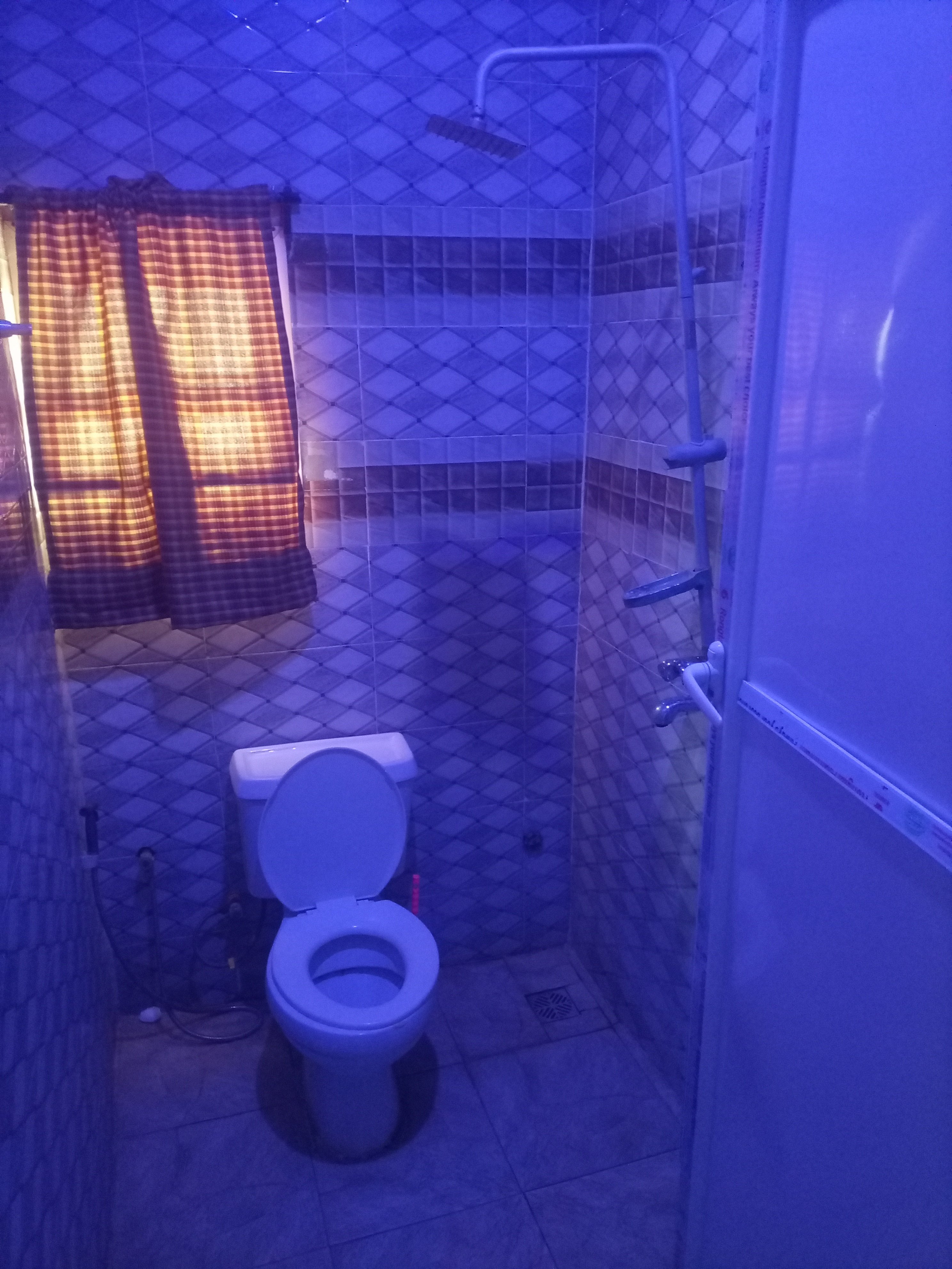 IMG_20251031_115240_713